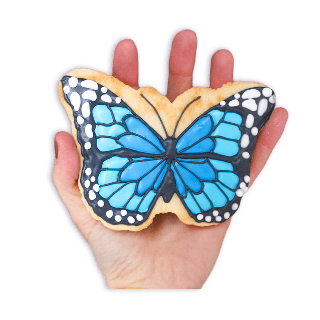 Butterfly Effect - Funny Face Bakery