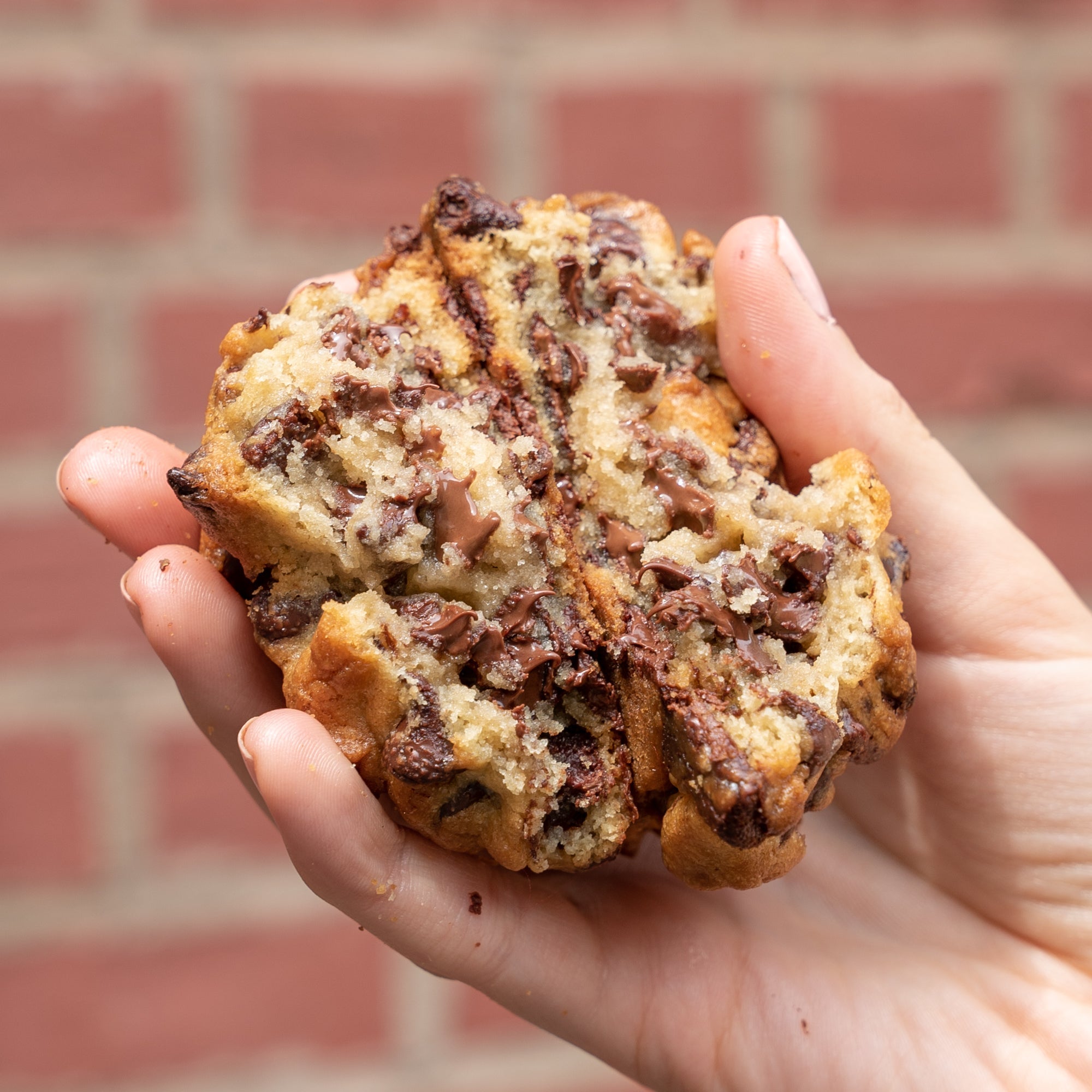 Chocolate Chip - Funny Face Bakery