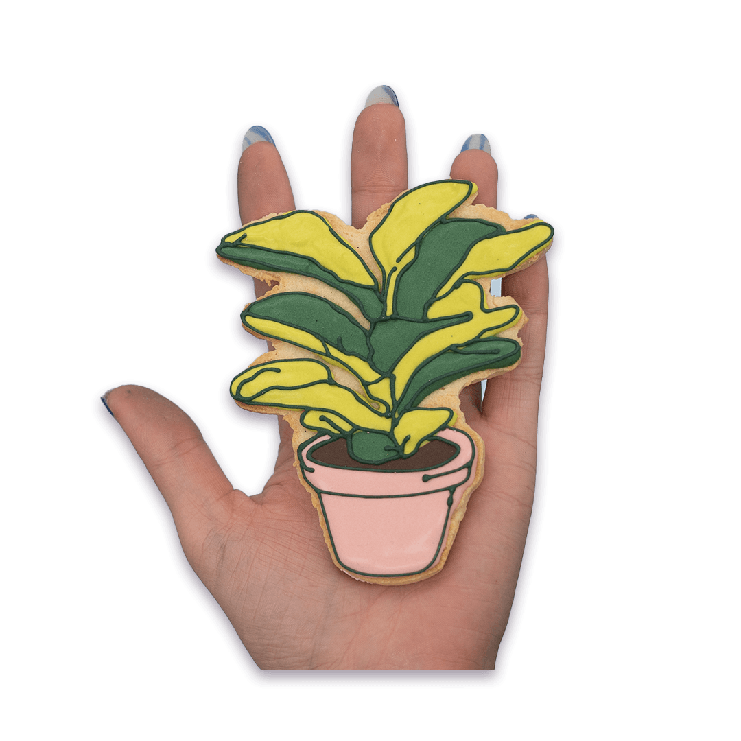 Plant Parent - Funny Face Bakery