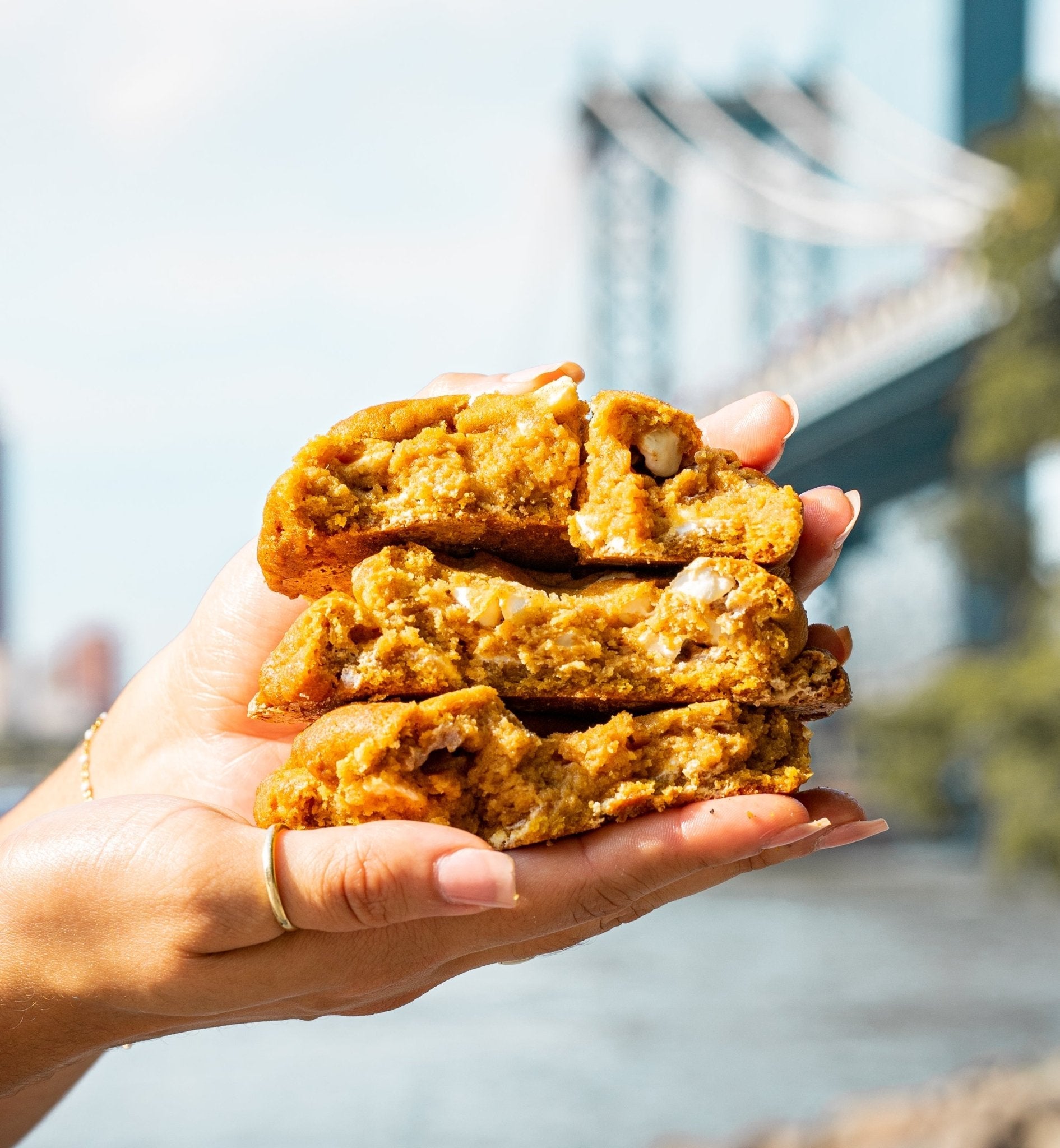 Pumpkin Sugar n' Spice — cookies from Funny Face Bakery NYC, order online or visit us in New York City