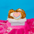 Gemini Baby Pack - Funny Face Bakery