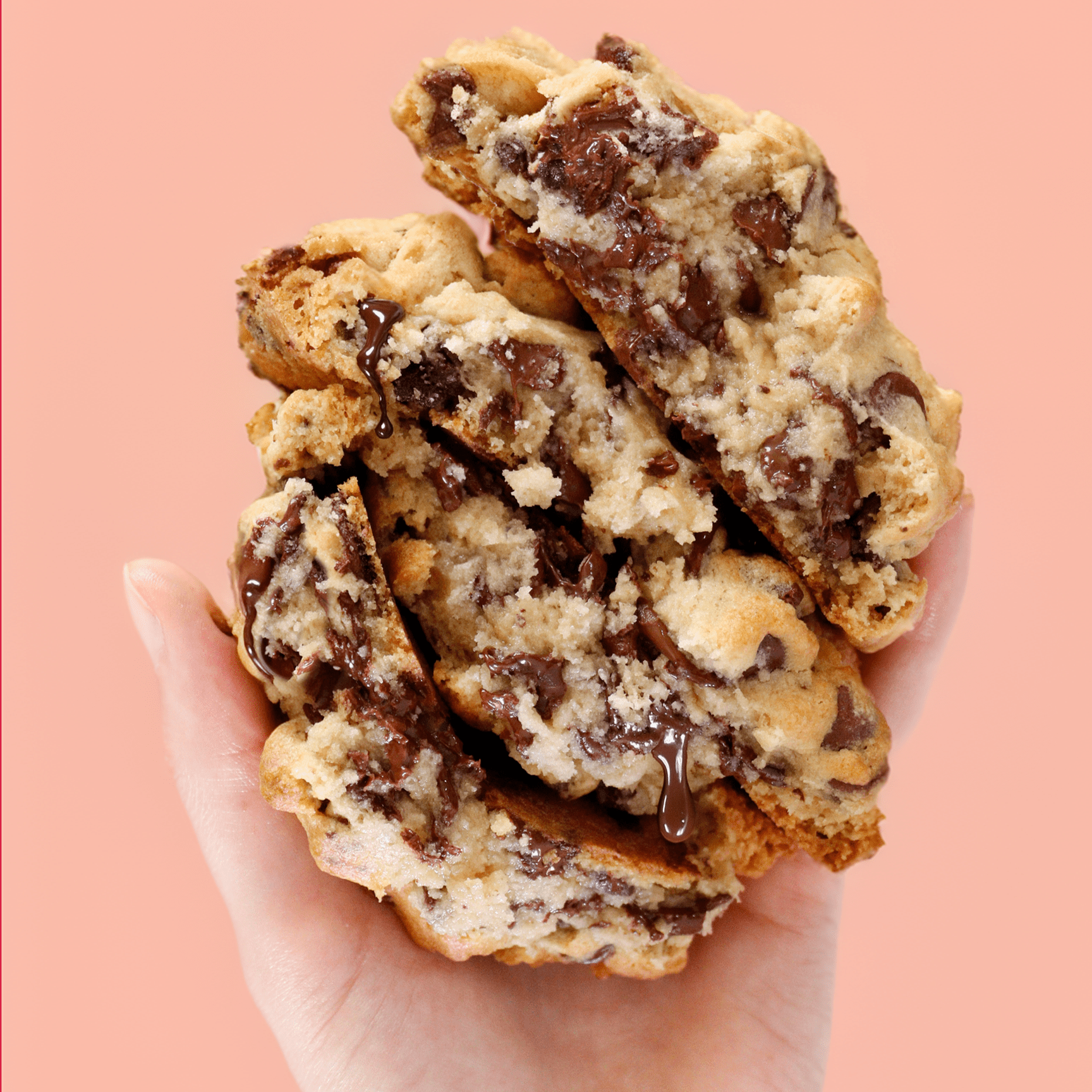 Gluten - Free Vegan Chocolate Chip - Funny Face Bakery