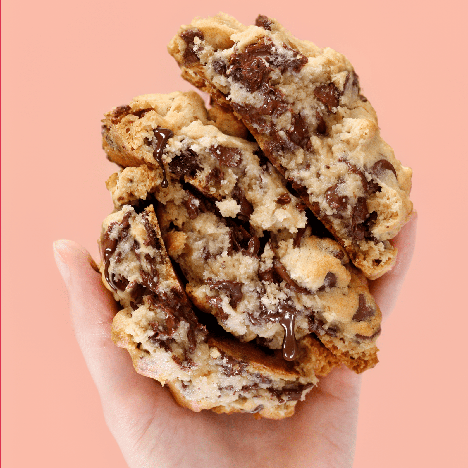 Gluten - Free Vegan Chocolate Chip - Funny Face Bakery