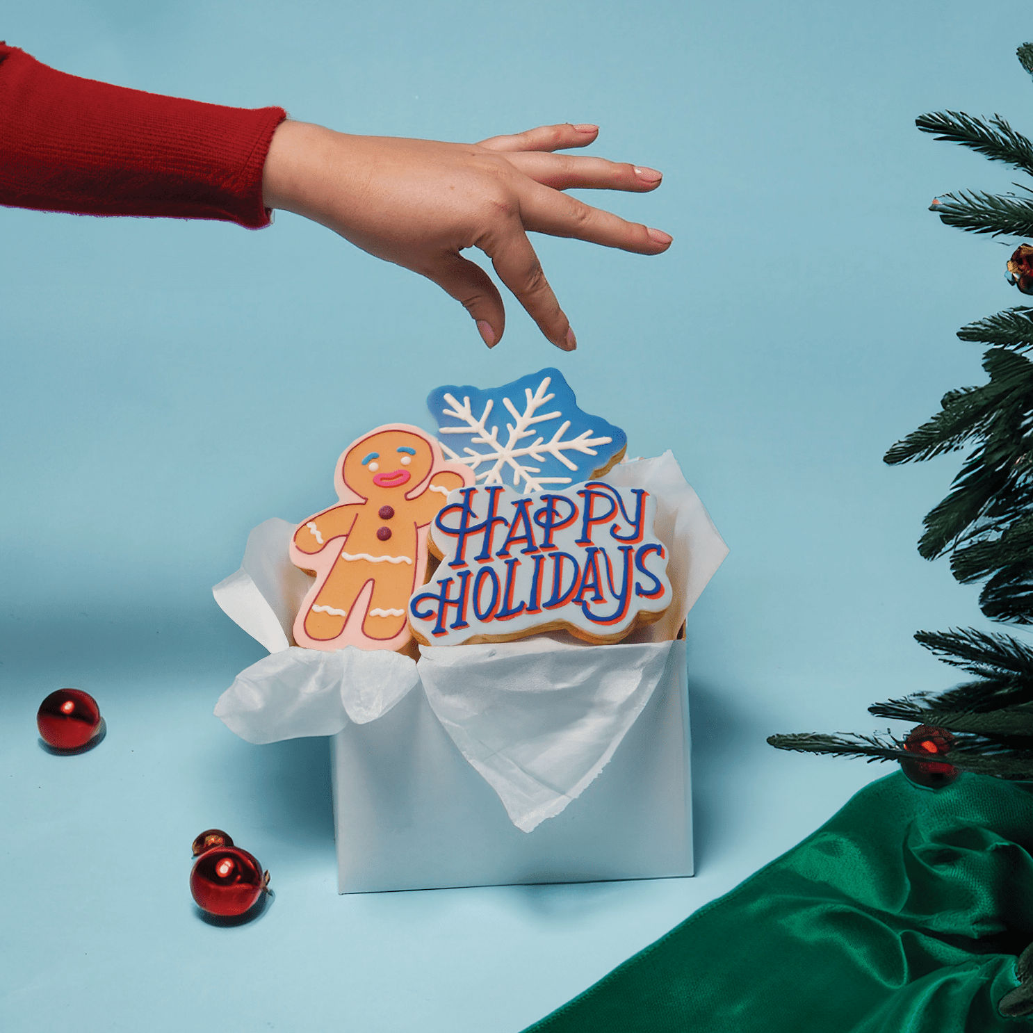 Happy Holidays Package - Funny Face Bakery