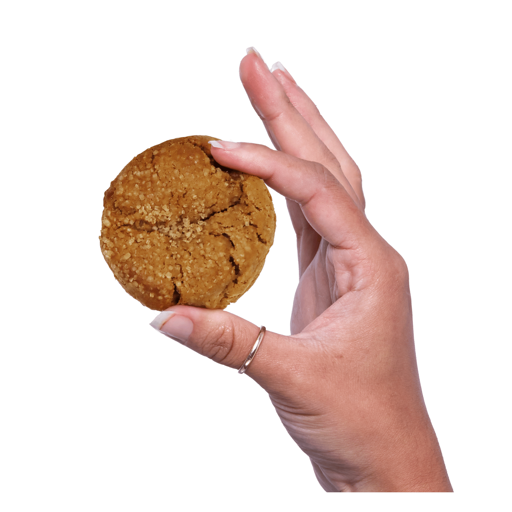 Pack of Ginger Spice Cuties - Funny Face Bakery