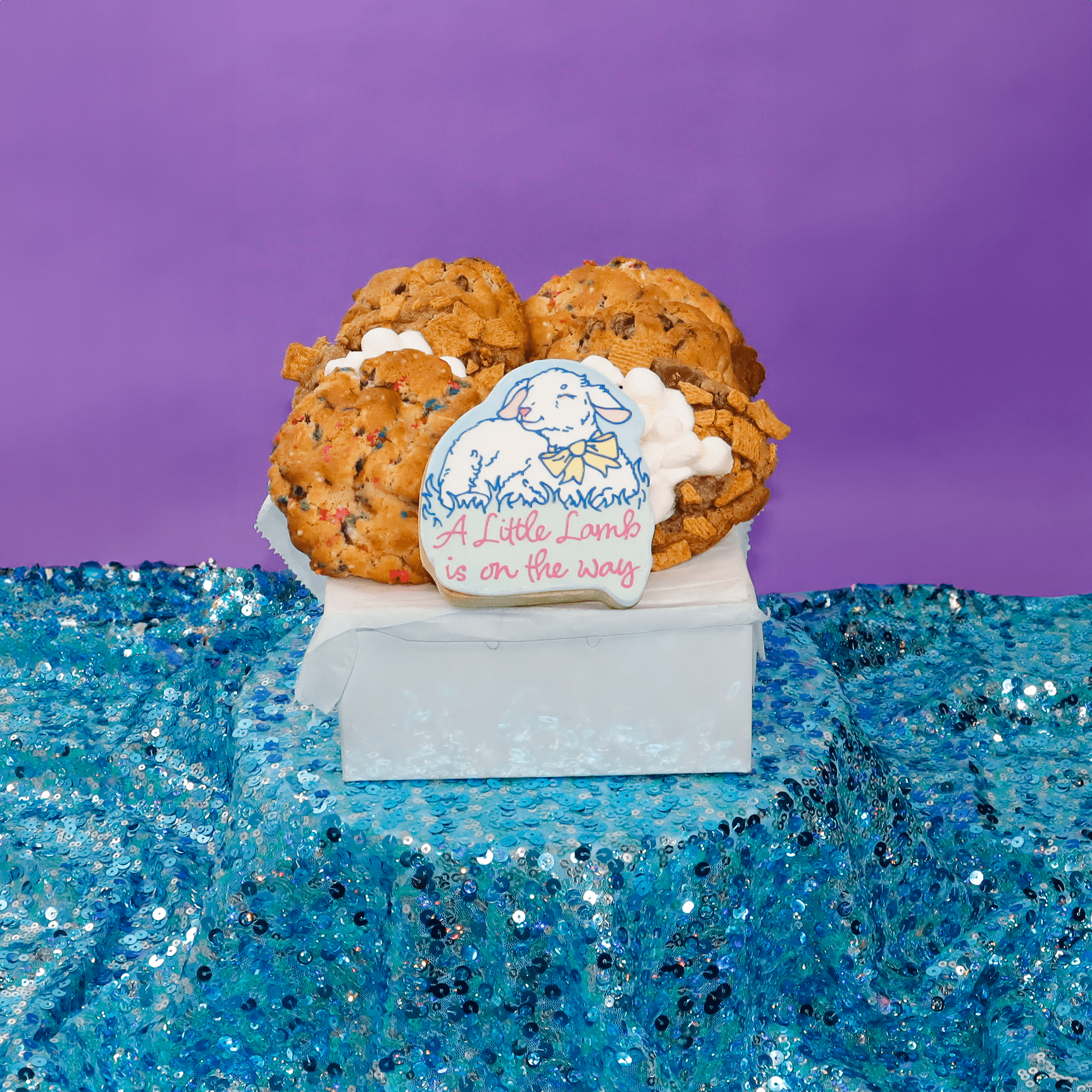 Pregnancy Announcement Pack - Funny Face Bakery