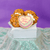 Taurus Baby Pack - Funny Face Bakery