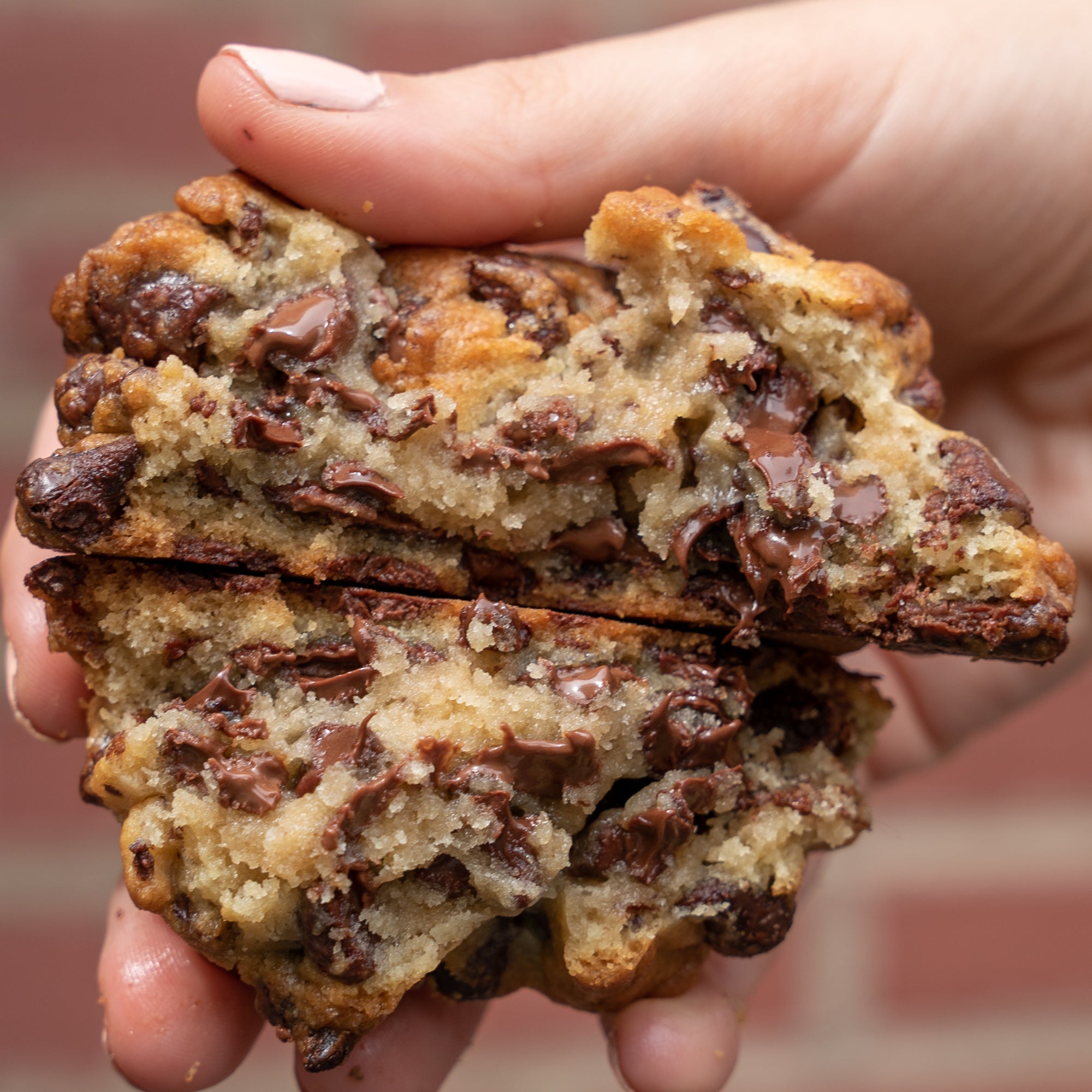 Box of Chocolate Chip - Funny Face Bakery